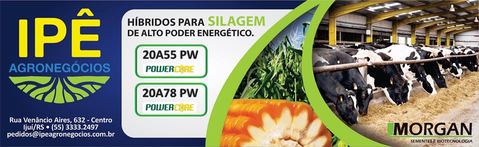 Ipe_Agronegocios_Banner_Hibridos_para_Silagem