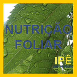 Ipe_Agronegocios_Nutricao_Foliar